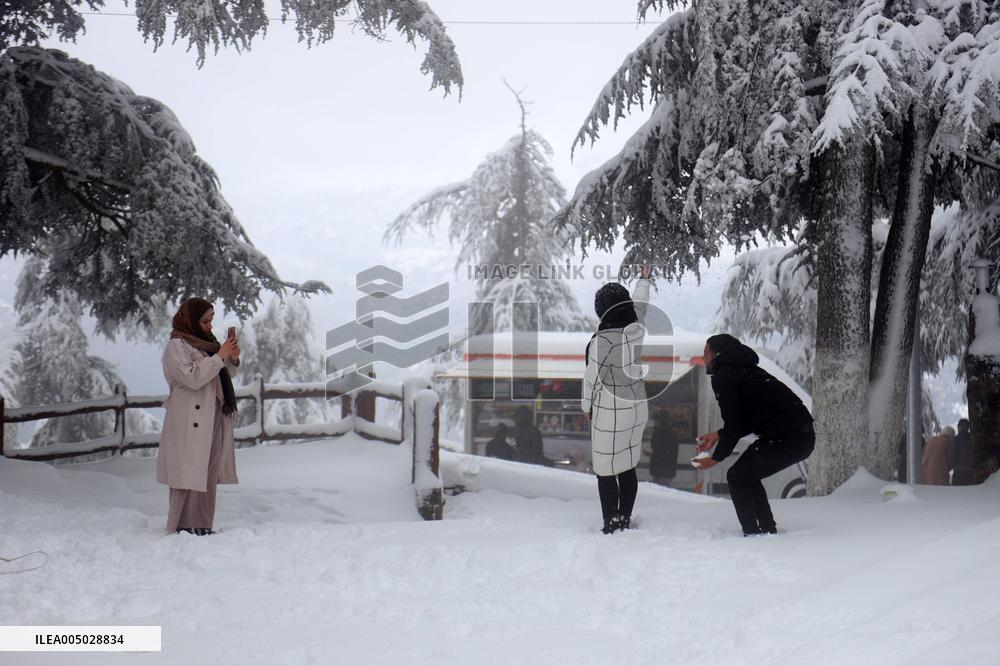Snowfall in Chrea Mountains - Algeria