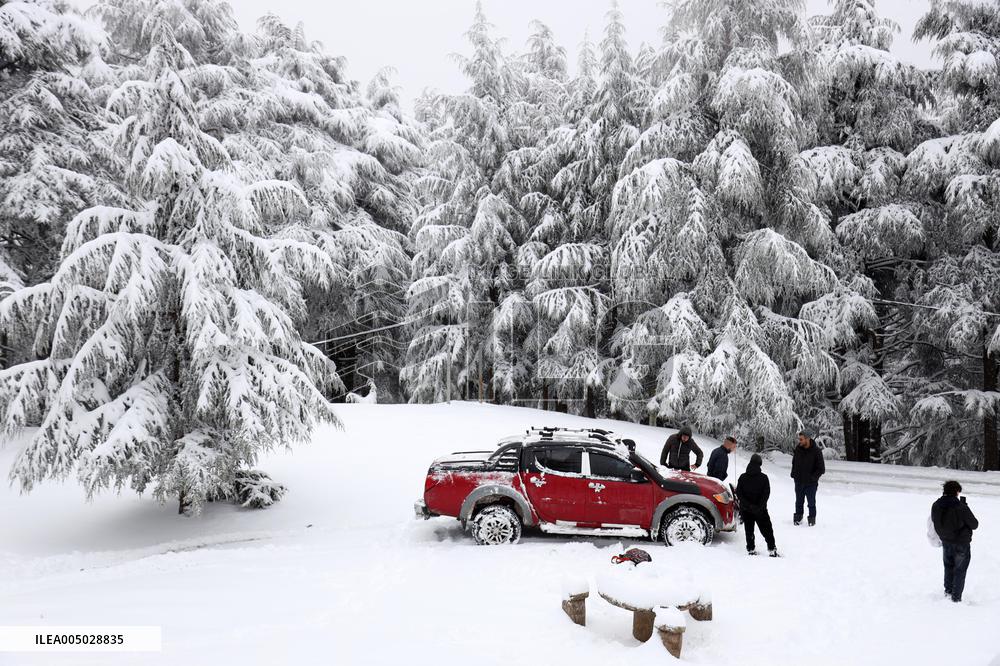 Snowfall in Chrea Mountains - Algeria