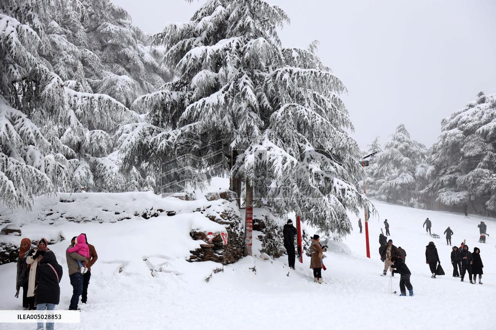 Snowfall in Chrea Mountains - Algeria