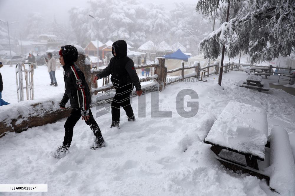 Snowfall in Chrea Mountains - Algeria
