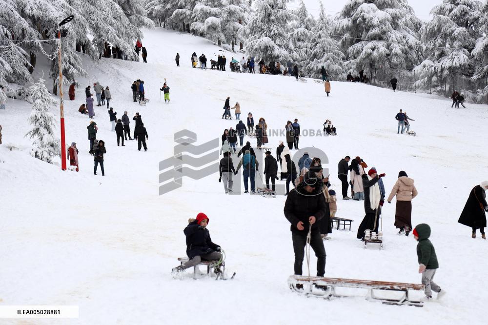 Snowfall in Chrea Mountains - Algeria