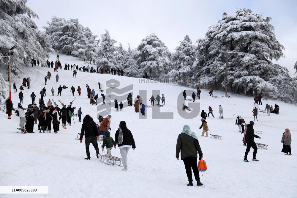 Snowfall in Chrea Mountains - Algeria