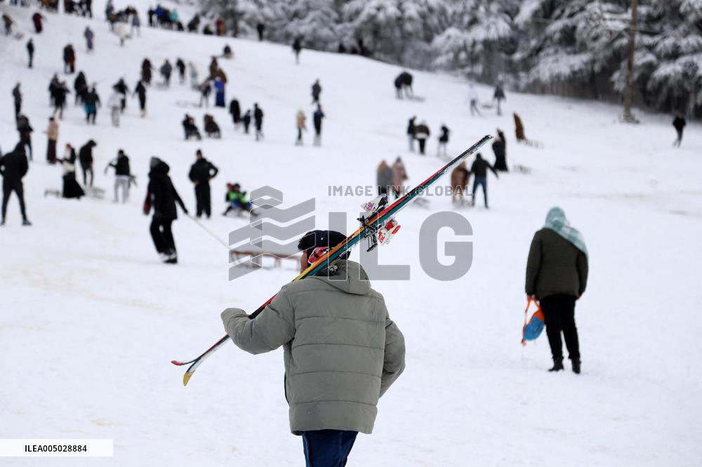 Snowfall in Chrea Mountains - Algeria