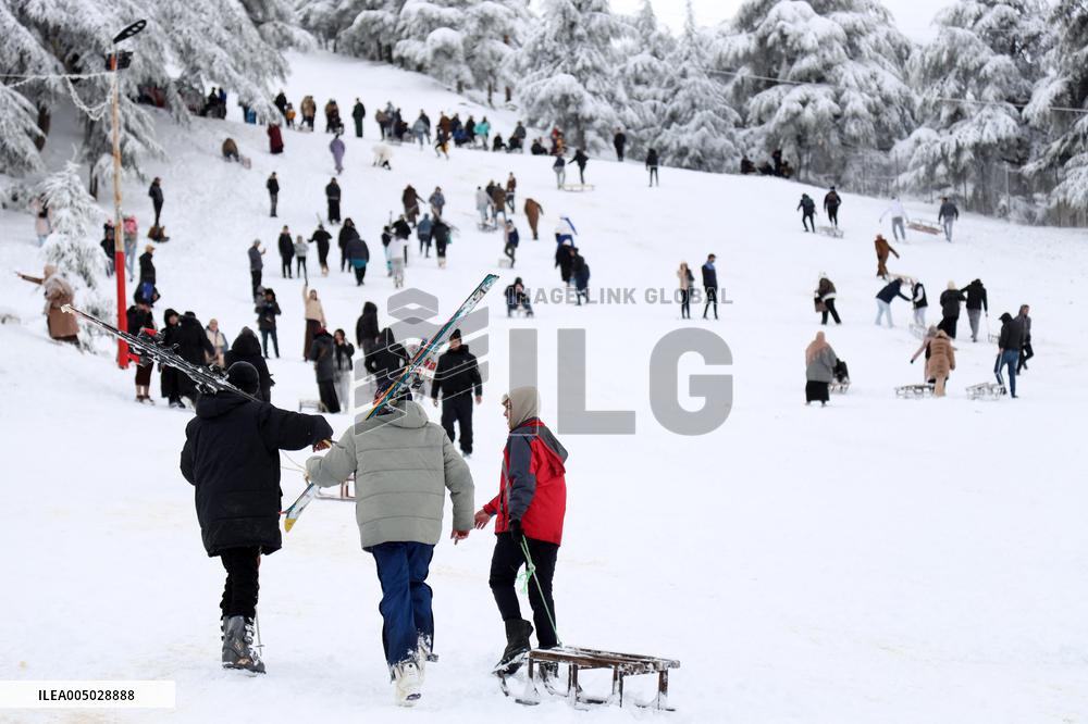 Snowfall in Chrea Mountains - Algeria
