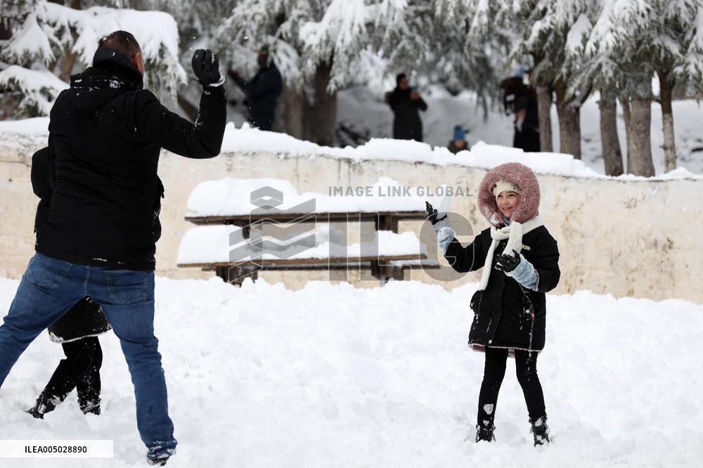 Snowfall in Chrea Mountains - Algeria