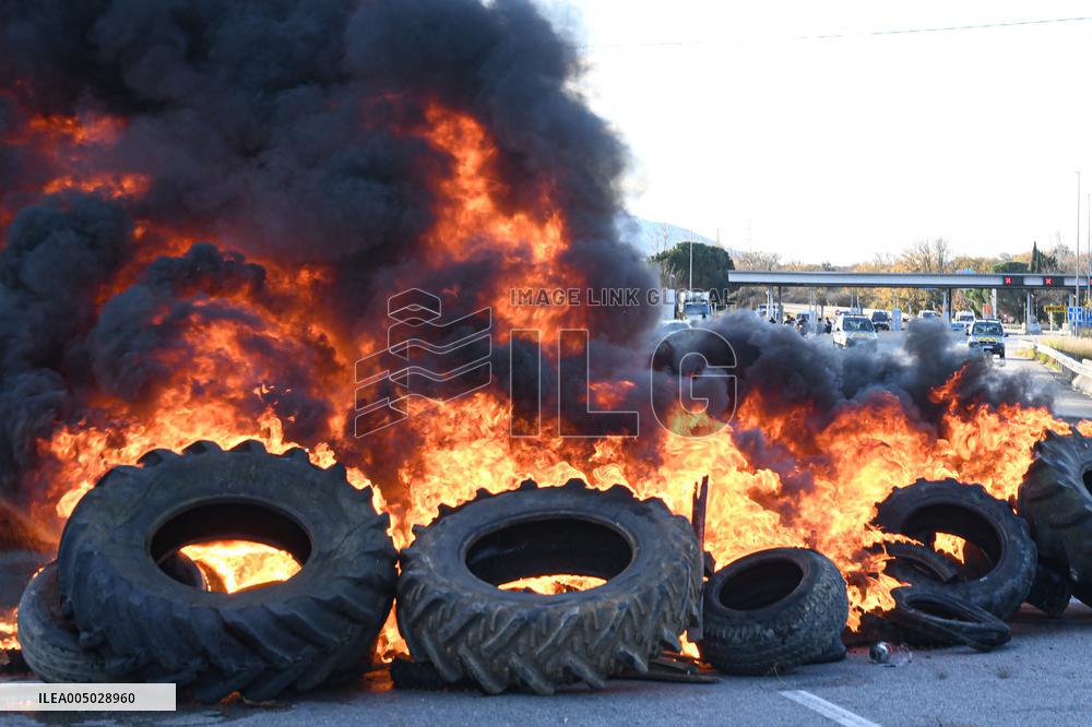 Farmers Protest - Spain