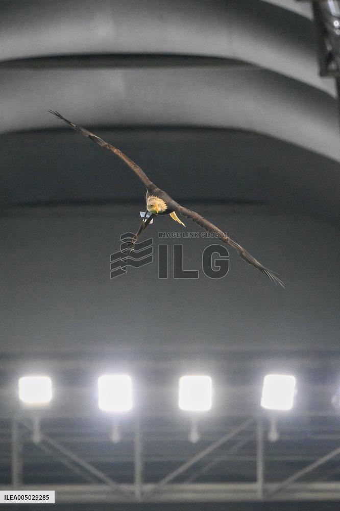 CALCIO - Serie A - SS Lazio vs ACF Fiorentina