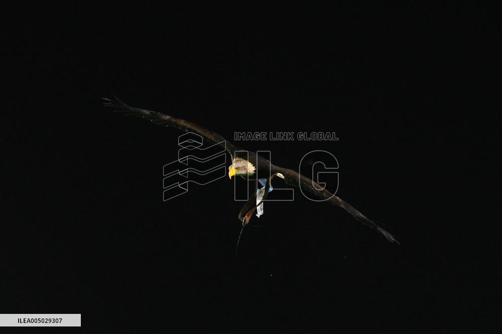 CALCIO - Serie A - SS Lazio vs ACF Fiorentina