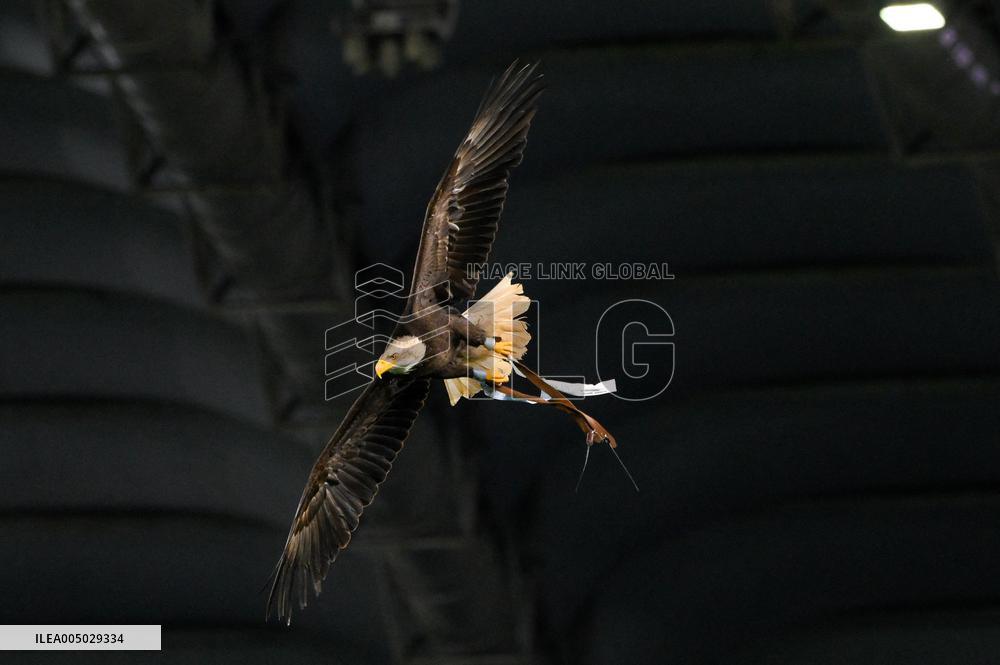 CALCIO - Serie A - SS Lazio vs ACF Fiorentina