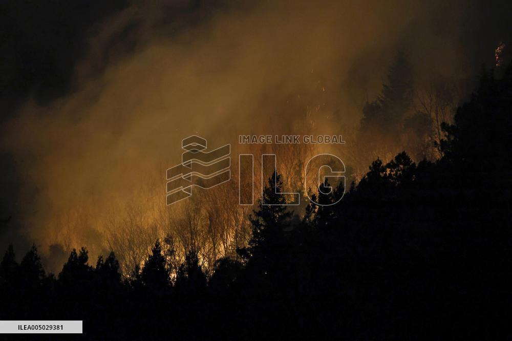 Wildfire in Yamanashi Pref.