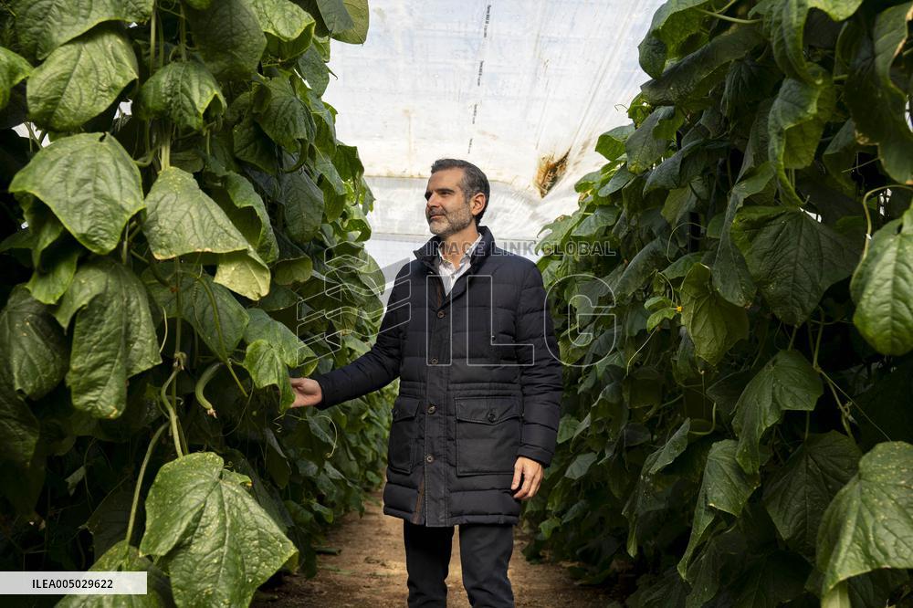 Pacheco Visits Farm Affected By 2024 DANA - Spain