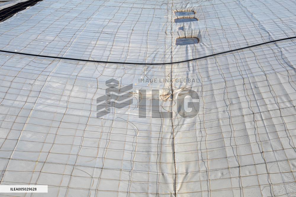 Pacheco Visits Farm Affected By 2024 DANA - Spain