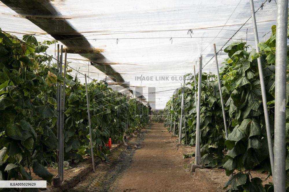 Pacheco Visits Farm Affected By 2024 DANA - Spain