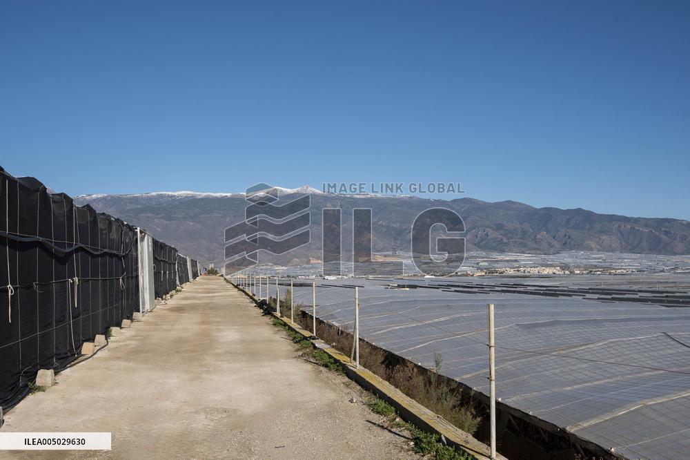 Pacheco Visits Farm Affected By 2024 DANA - Spain