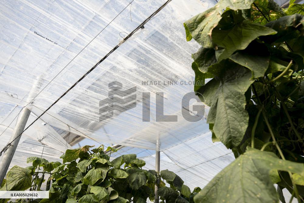 Pacheco Visits Farm Affected By 2024 DANA - Spain