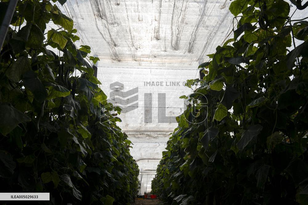 Pacheco Visits Farm Affected By 2024 DANA - Spain