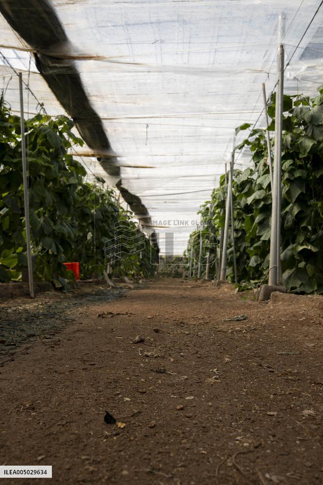 Pacheco Visits Farm Affected By 2024 DANA - Spain