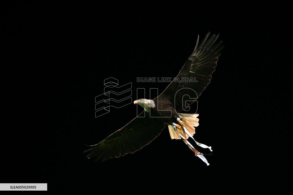 CALCIO - Serie A - SS Lazio vs ACF Fiorentina