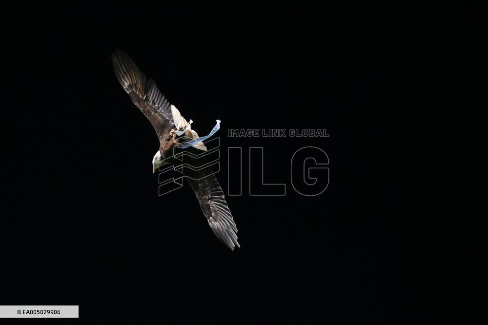 CALCIO - Serie A - SS Lazio vs ACF Fiorentina