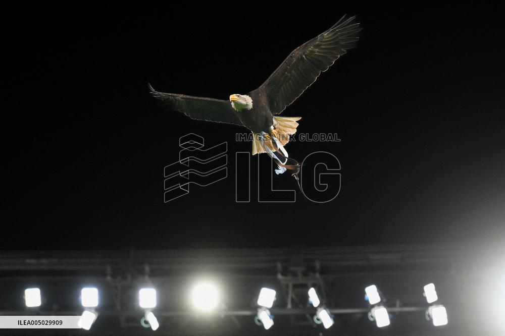 CALCIO - Serie A - SS Lazio vs ACF Fiorentina
