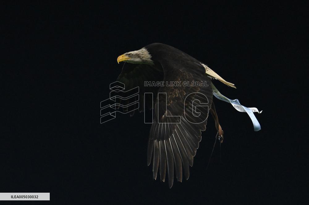 CALCIO - Serie A - SS Lazio vs ACF Fiorentina