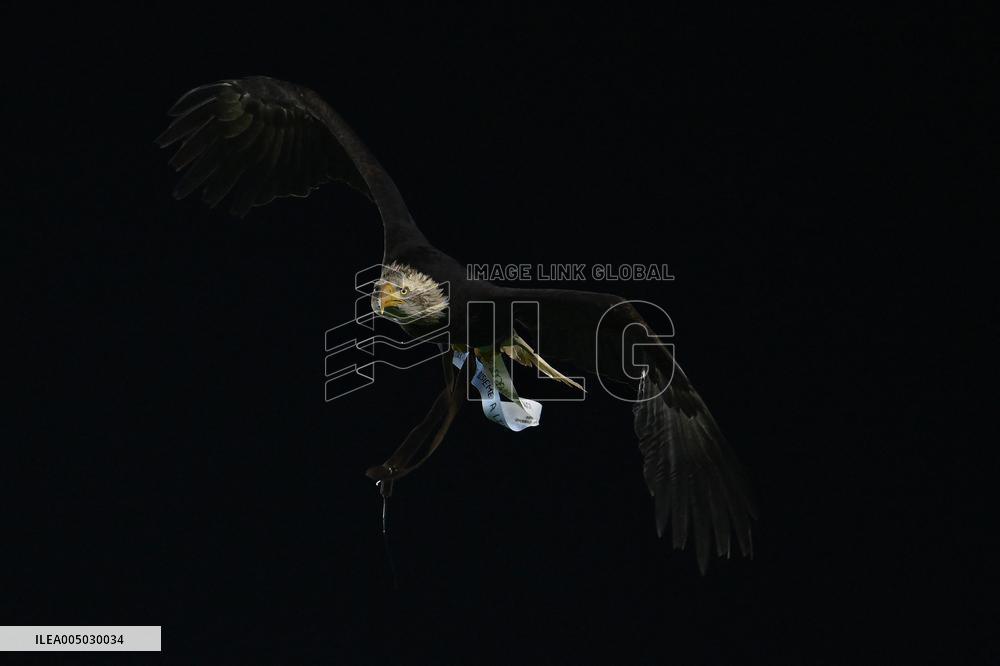 CALCIO - Serie A - SS Lazio vs ACF Fiorentina