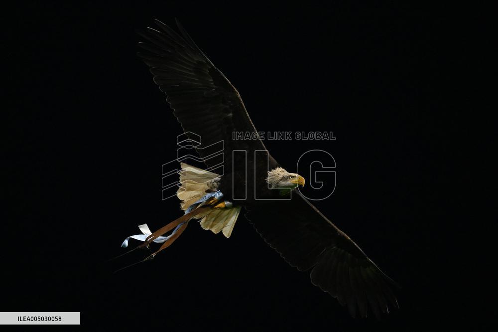 CALCIO - Serie A - SS Lazio vs ACF Fiorentina
