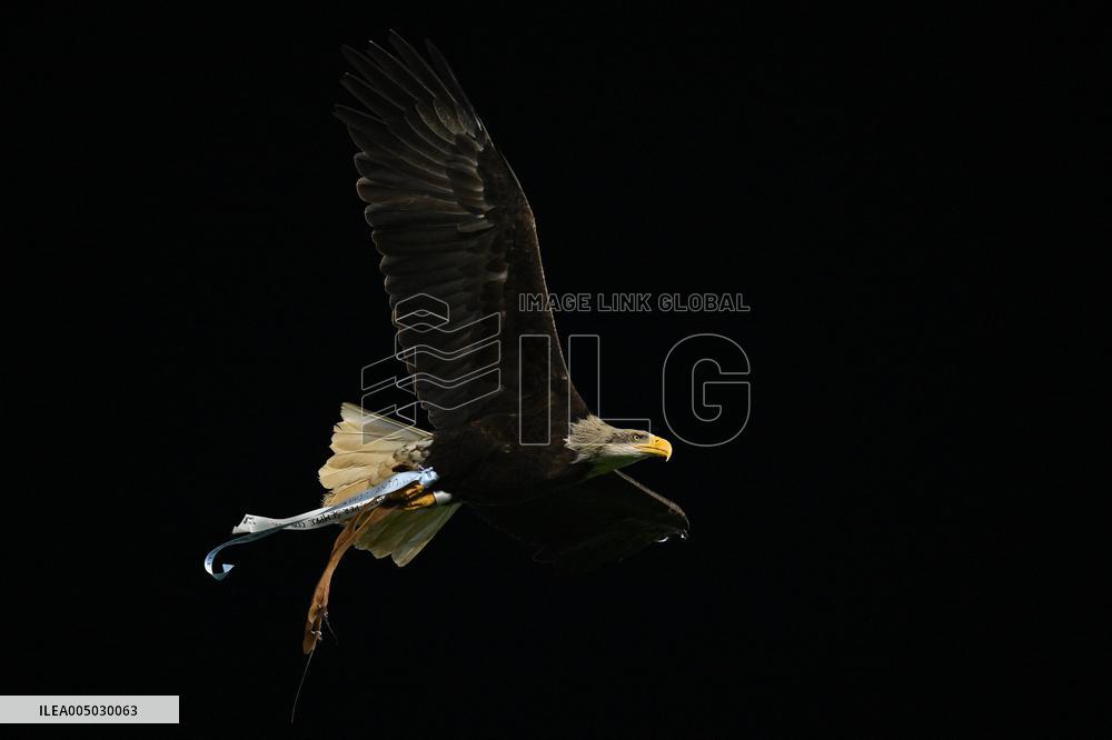CALCIO - Serie A - SS Lazio vs ACF Fiorentina