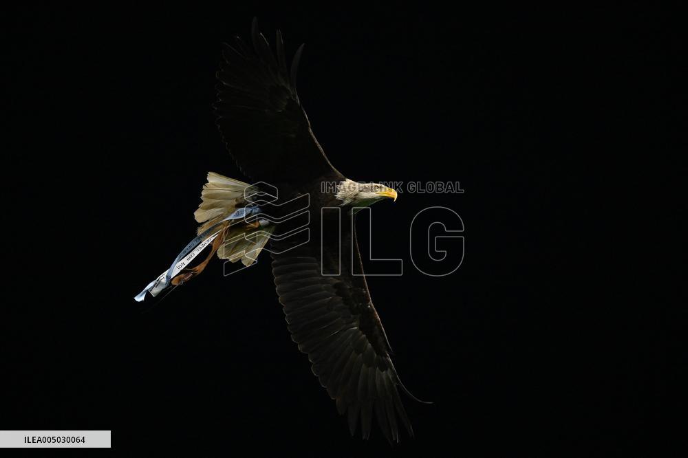 CALCIO - Serie A - SS Lazio vs ACF Fiorentina