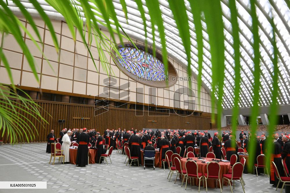 Pope Leo XIV Leads Extraordinary Consistory - Day 2 - Vatican