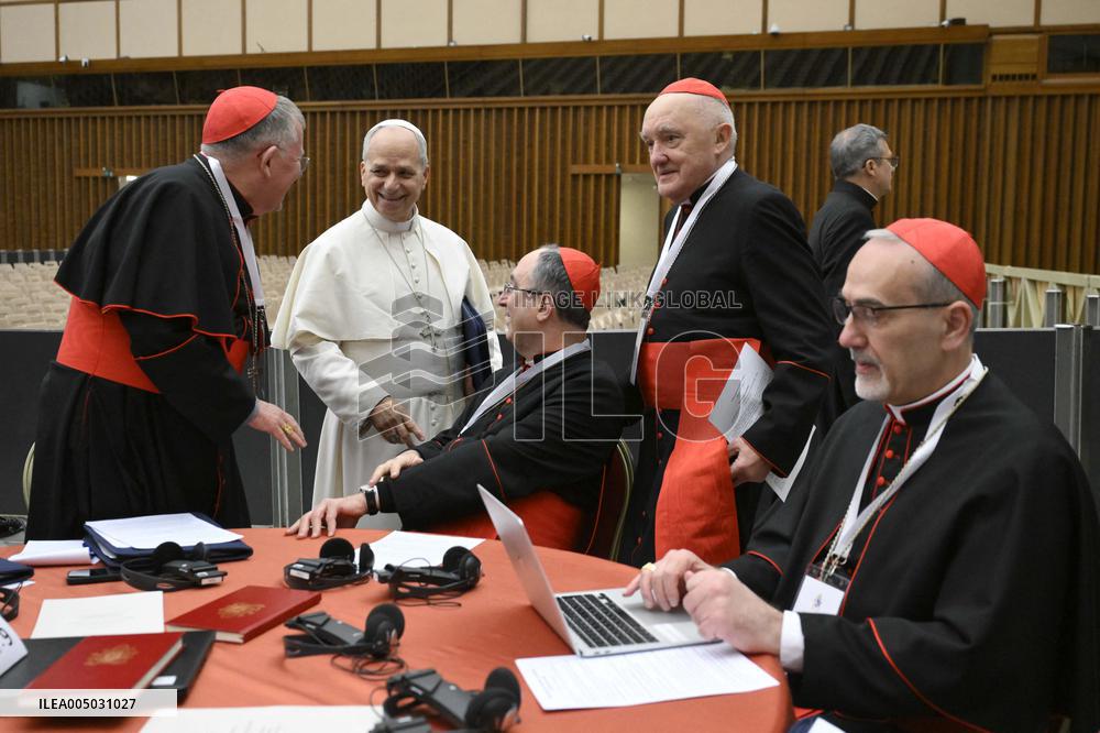 Pope Leo XIV Leads Extraordinary Consistory - Day 2 - Vatican