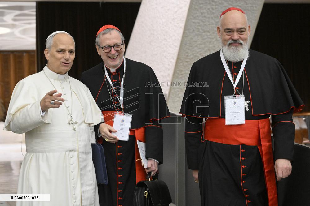 Pope Leo XIV Leads Extraordinary Consistory - Day 2 - Vatican