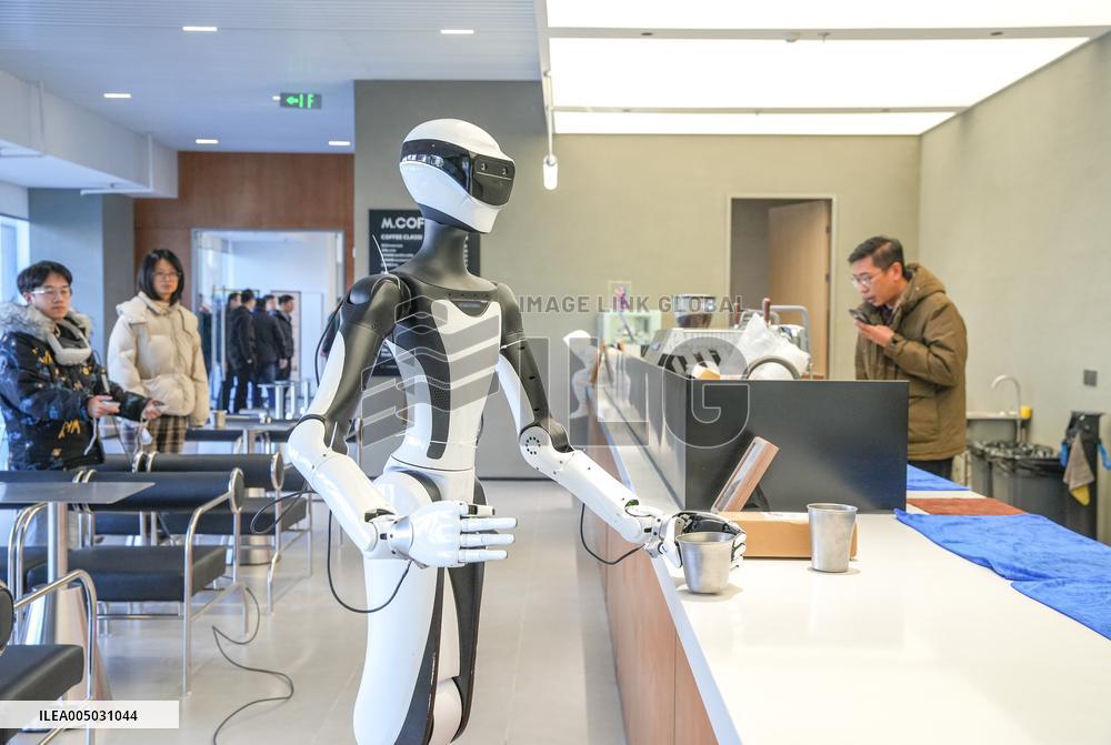 Humanoid Robots Simulation Training