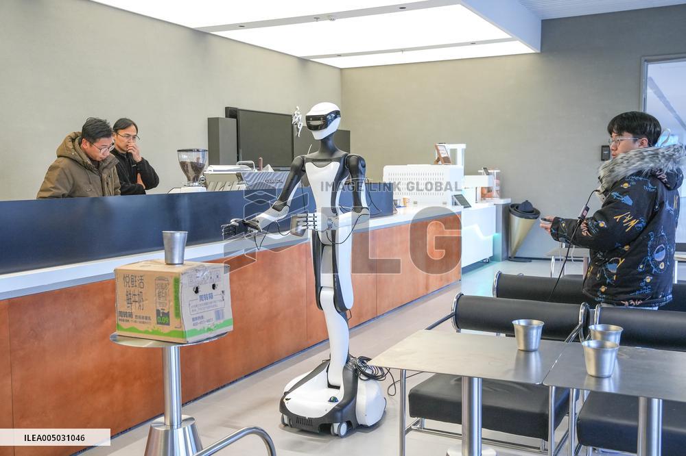 Humanoid Robots Simulation Training