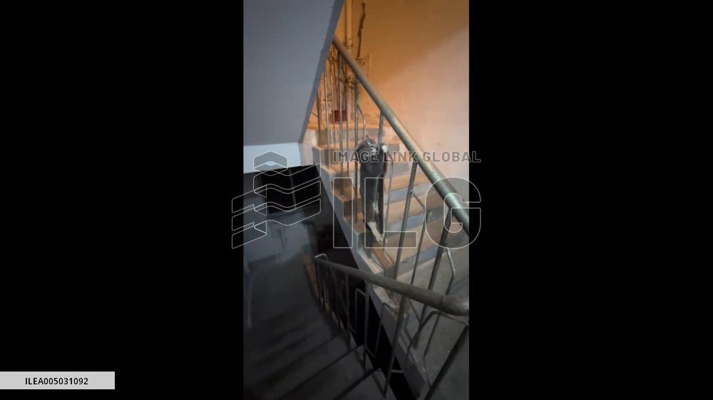 China: Gray Cat Becomes Stranded While Clinging to Metal Staircase Railing