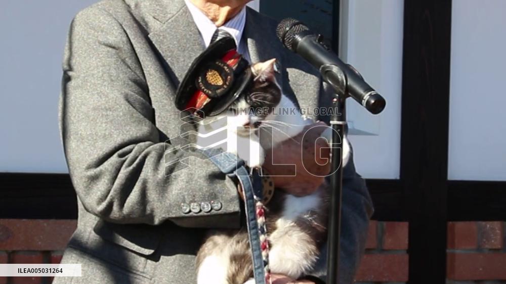 New cat stationmaster