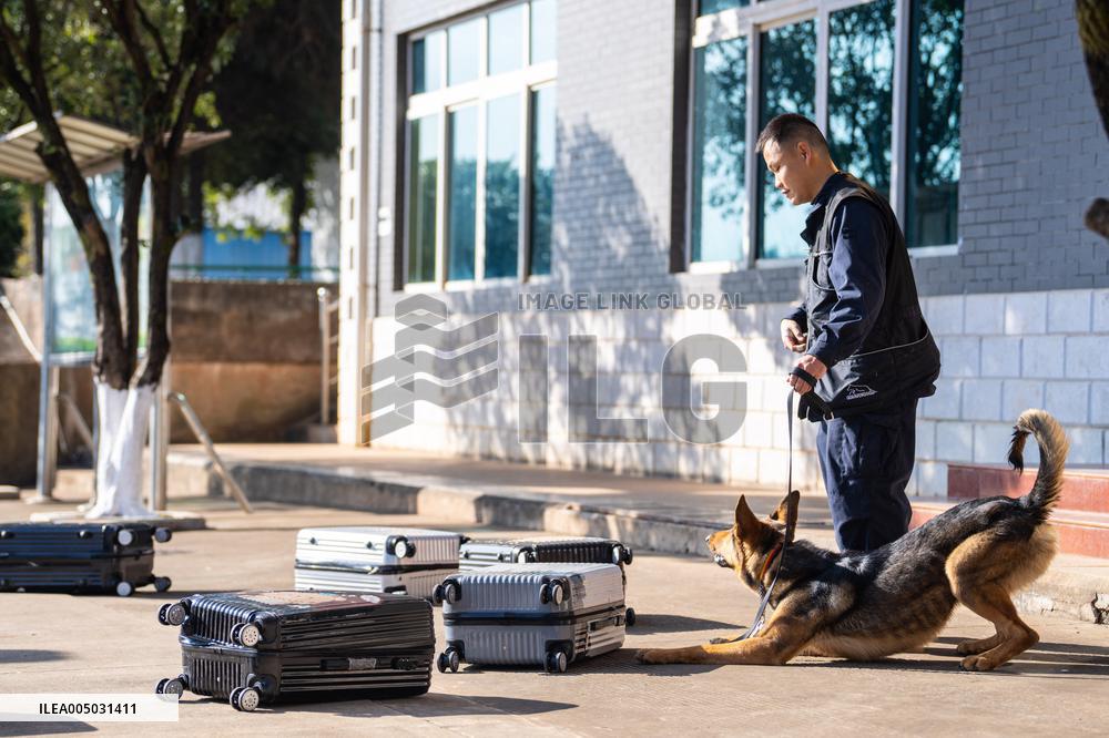 Police Dog Base - China