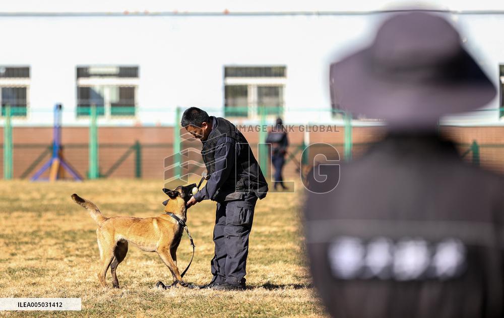 Police Dog Base - China