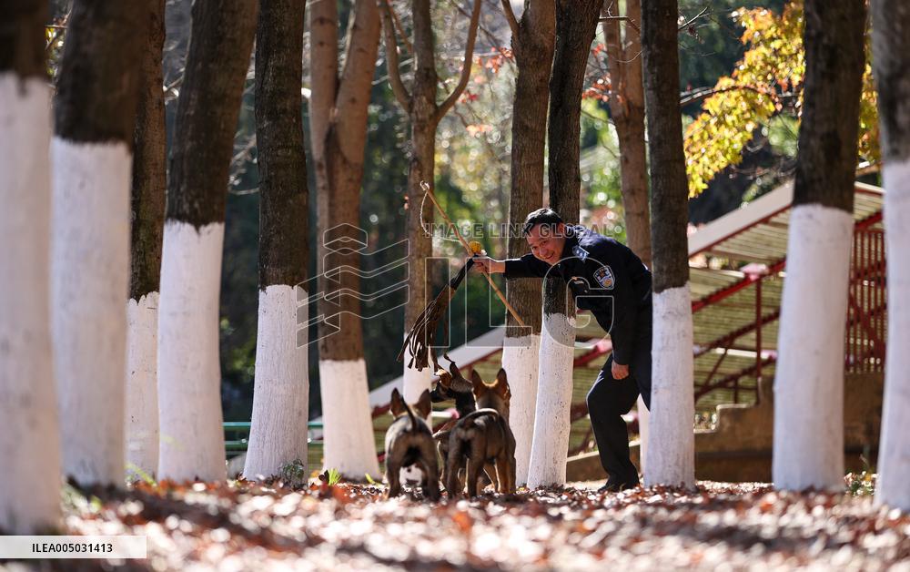 Police Dog Base - China