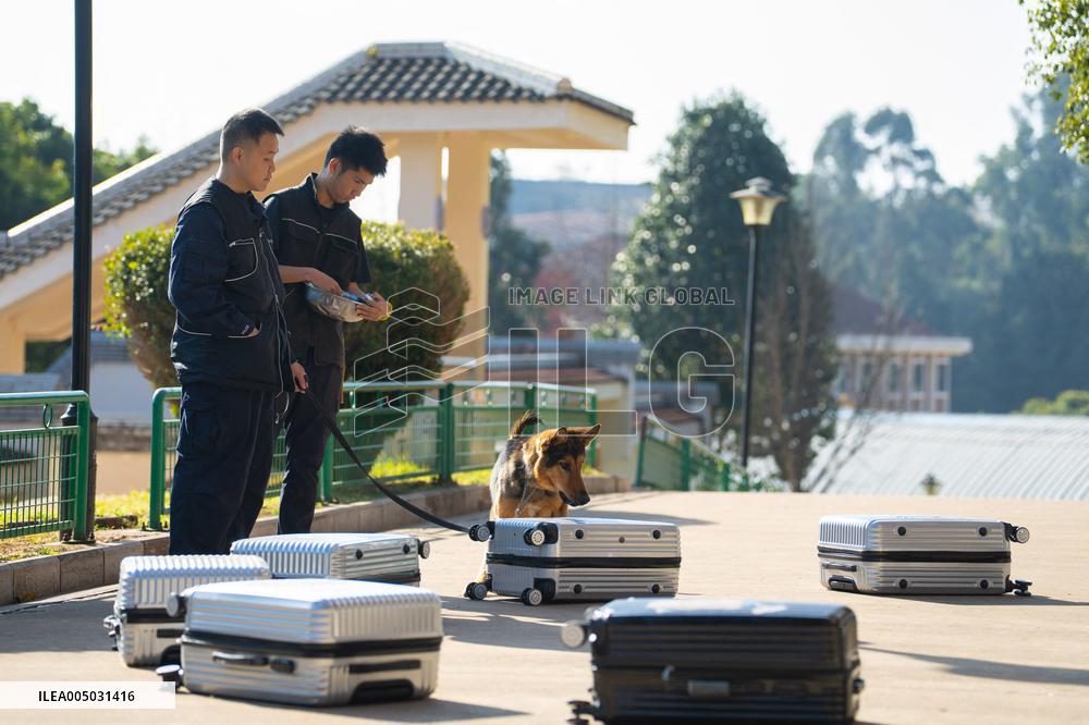 Police Dog Base - China