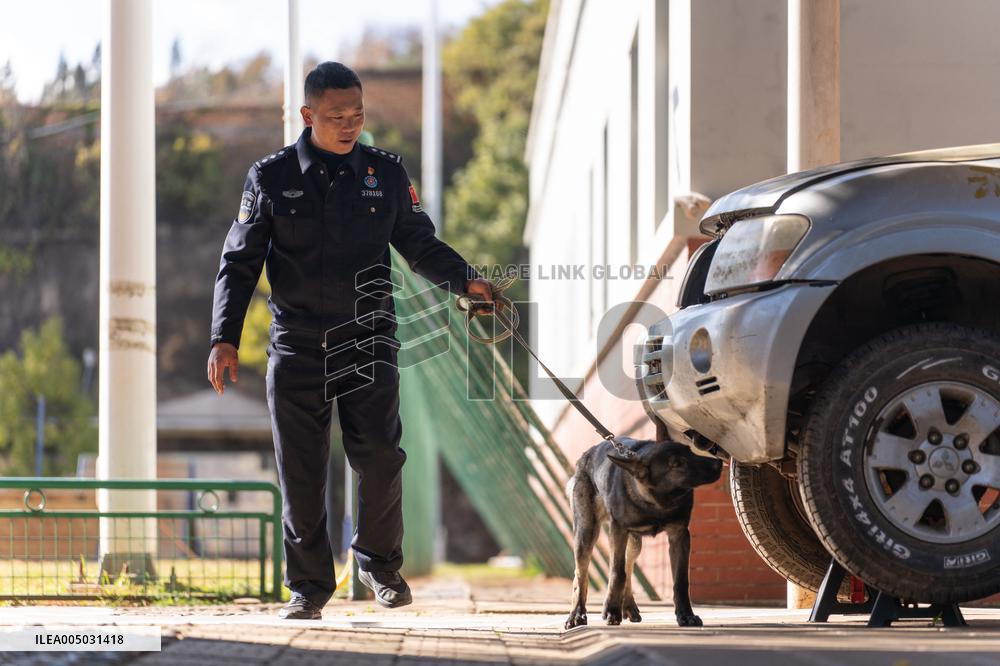 Police Dog Base - China