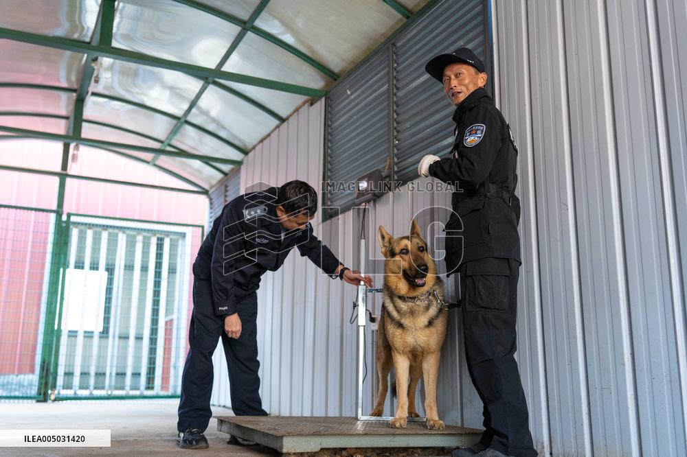 Police Dog Base - China