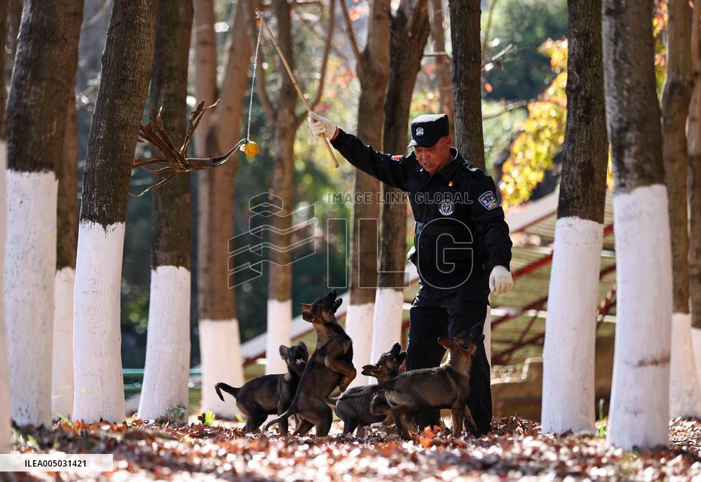 Police Dog Base - China