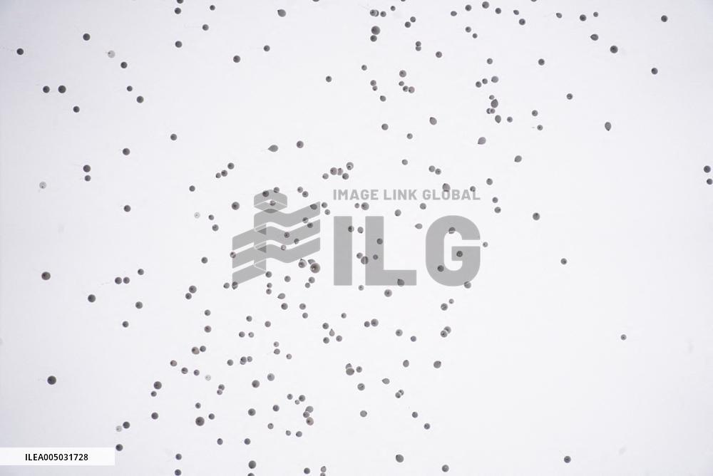 Crans Montana - White Balloons Released for Chiara Costanzo - Milan