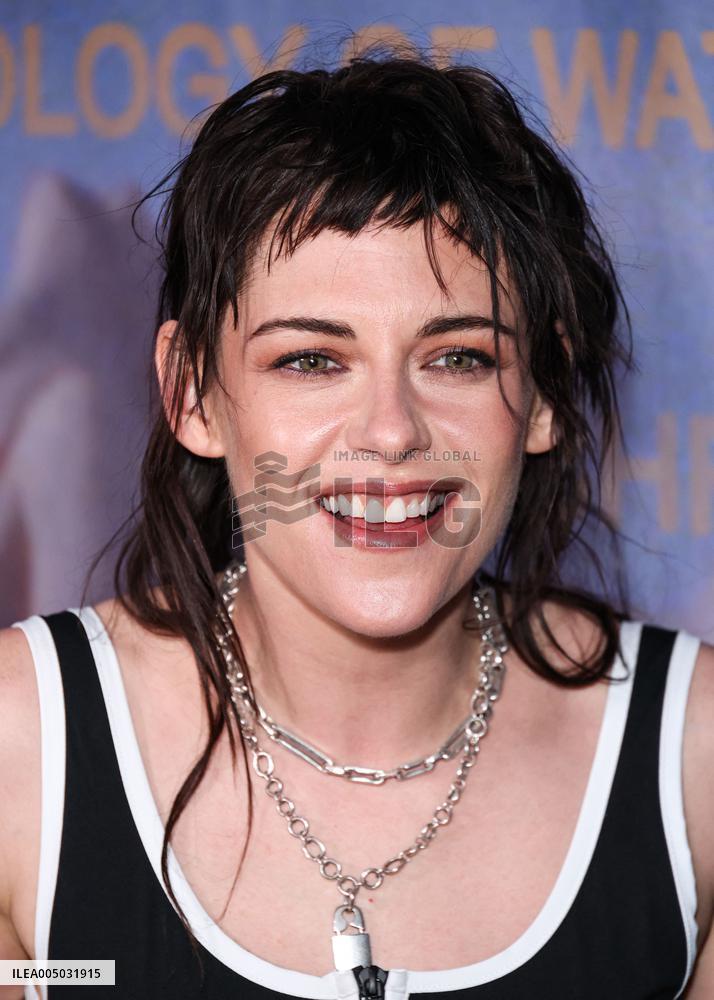 The Chronology Of Water Premiere - LA