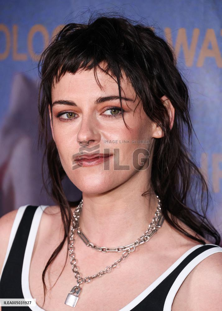 The Chronology Of Water Premiere - LA