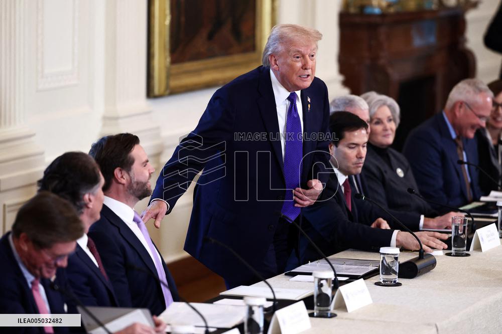US President Donald Trump mets with oil executives in the East Room