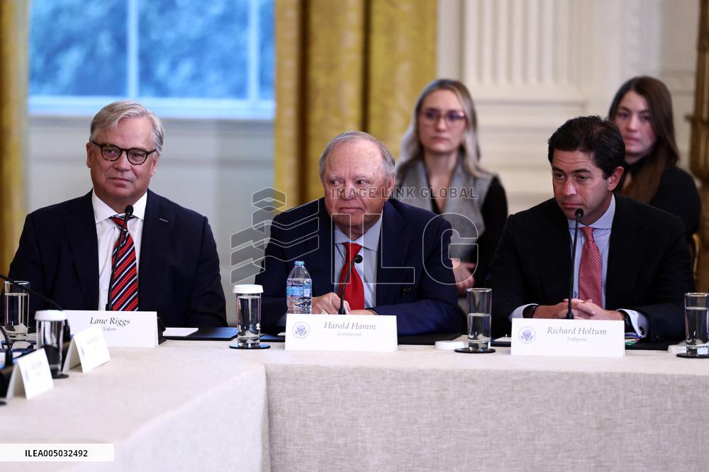 US President Donald Trump mets with oil executives in the East Room