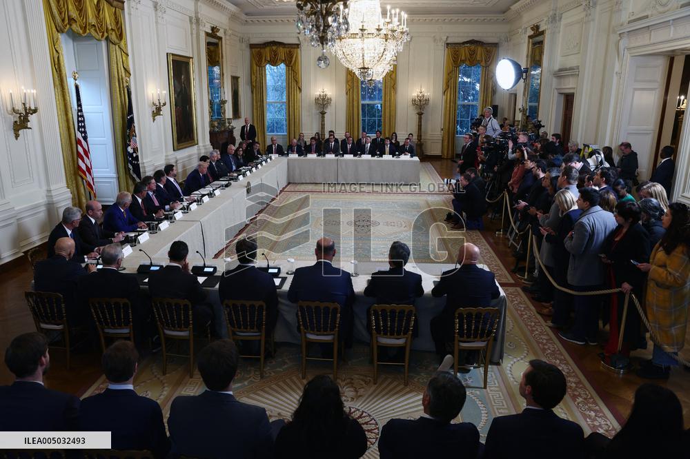 US President Donald Trump mets with oil executives in the East Room