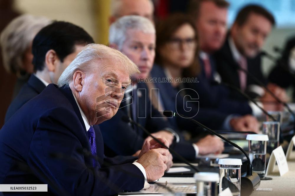 US President Donald Trump mets with oil executives in the East Room